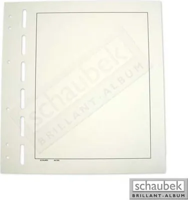 Produktbild von Schaubek Blankoblätter bb500-10 gelblich-weiß mit Rahmen - Albumpapier