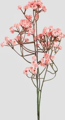Obrázek produktu pro HOMLA Umělá větvička CLADEL coral 61 cm