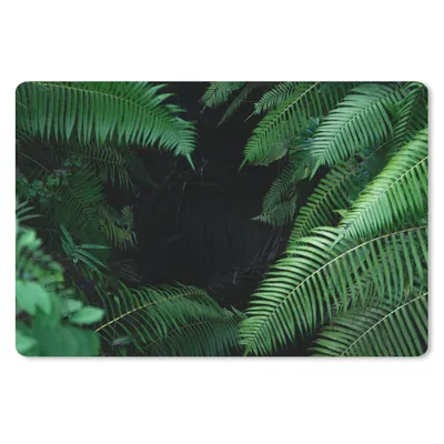 Produktbild von MuchoWow® Schreibtischunterlage Tropische Farne im Regenwald 60x40 cm - XXL Mauspad - Großes Mauspad
