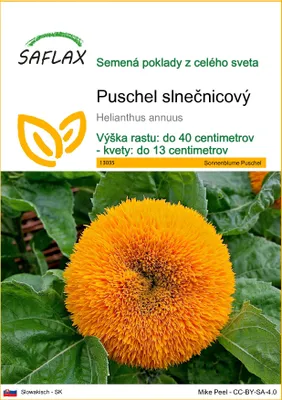 Obrázok produktu pre SAFLAX - Puschel slnečnicový - Helianthus annuus - 40 Semená
