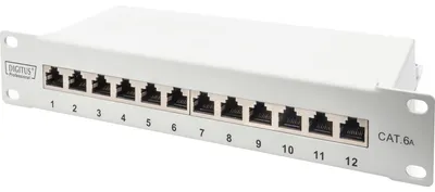 Image de Panneau de brassage DIGITUS Cat.6A, blindé, 12 ports, 10", gris