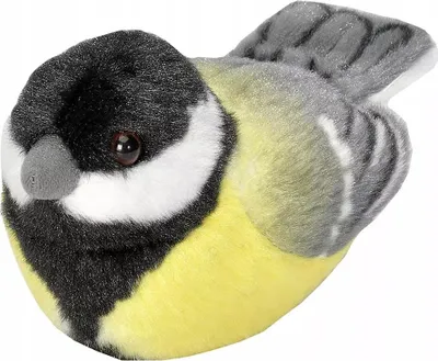 Immagine prodotto di Uccello cinciallegra con argilla - Cinciallegra