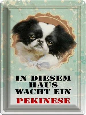 Produktbild von vianmo Blechschild 40x30 cm Hund in diesem Haus wacht Pekinese