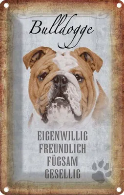 Produktbild von vianmo Blechschild 30x20 cm Bulldogge Hund gesellig Tier Haustier