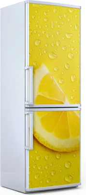 Produktbild von Magnete Dekorative - 70 cm x 190 cm - Küche - Magnetmatte Kühlschrankmagnete - Früchte Spritzen