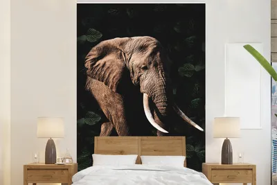 Produktbild von MuchoWow® Fototapete für Wohnzimmer oder Schlafzimmer Wandtapete Vinyl Motivtapete Elefant - Dschungel - Schwarz - 160x240 cm - Vinyltapete