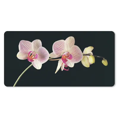 Produktbild von MuchoWow® Schreibtischunterlage Orchidee - Blumen - Schwarz - Rosa - Knöpfe 80x40 cm - XXL Mauspad - Gaming Mauspad