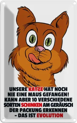 Produktbild von vianmo Blechschild 30x20 cm Katze hat noch nie Maus gefangen Tier Haustier