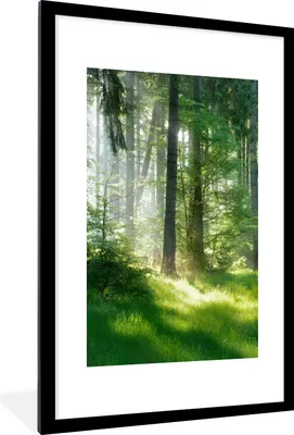 Produktbild von MuchoWow® Gerahmtes Poster Natur - Bäume - Wald - Grün - Sonne - Gras - Pflanzen 60x90 cm - Poster mit Schwarzem Bilderrahmen Wandposter Rahmen Foto Bilder - Dekoration - Wandposter Wohnzimmer - Hochwertig