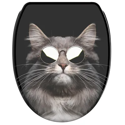 Image de SANILO® Siège de WC avec abattant à fermeture automatique et fermeture rapide Cool Cat, couvercle de WC directement du fabricant, couvercle de WC, lunette de WC, couvercle de WC, lunette de WC
