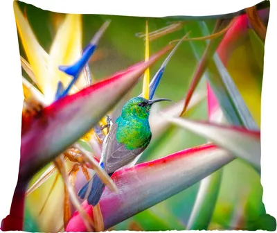 Produktbild von MuchoWow® Zierkissen Sofakissen Wohnzimmer Dekokissen 45x45 cm Bunter Vogel zwischen all den bunten Tellern - Schlafpolster - Polster für das Sofa