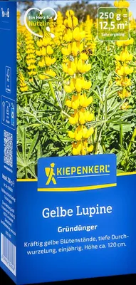 Produktbild von Kiepenkerl Saatgut Gelbe Lupine Lupinus luteus Gründüngung 0,25 kg