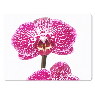 Produktbild von MuchoWow® Mauspad Mousepad Orchidee rosa 23x19 cm - Mousepads - Maus Mat - Pad - Mausunterlage - Schreibtischunterlage - Mauspad