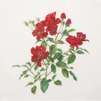 Immagine prodotto di Thea Gouverneur ricama a punto croce "Tessuto per il conteggio del fuoco", schema per il conteggio, 44x44cm