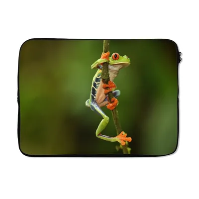 Produktbild von MuchoWow® Laptop Hülle 14 ZollRotaugenlaubfrosch im Dschungel Laptoptasche - Laptoptasche - Stoßsicher - Schutzhaube