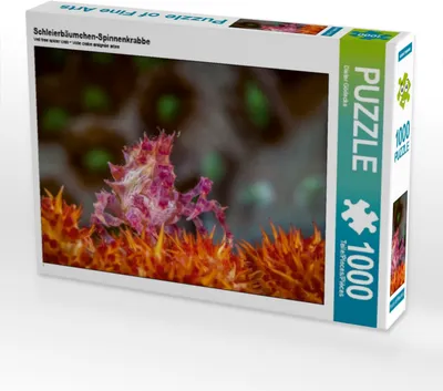 Produktbild von CALVENDO Puzzle Schleierbäumchen-Spinnenkrabbe 1000 Teile Puzzle quer | 1000 Teile Lege-Größe 64x48cm Foto-Puzzle für glückliche Stunden