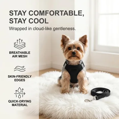 Imagen del producto de Arnés para perros pequeños, ajustable