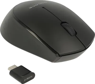 Image de DELOCK DeLOCK 12526 souris Ambidextre RF sans fil optique 1000 DPI