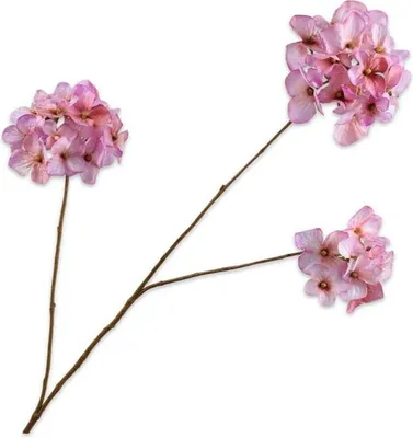 Produktbild von Warentuin Producten