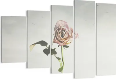 Produktbild von Bild auf Leinwand - Leinwandbild - 5 Teile - Rose Vögel Himmel - 150x100cm - Wand Bild - Wanddeko - Wandbilder - Leinwanddruck - Bilder - Wanddekoration - Leinwand bilder - Wandbild - EG150x100-4509