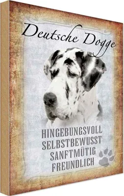 Produktbild von vianmo Holzschild 30x20 cm Deutsche Dogge Hund Tier Haustier