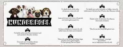 Produktbild von vianmo Holzschild 10x27 cm Hund Hunderegel ich komme wenn ich will