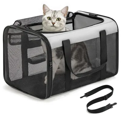 Produktbild von Haustiertragetasche Katzentransportbox Hundetransportbox - Weich - Netzseiten - 43 x 28 x 28 cm - Bis 6 kg - Faltbar