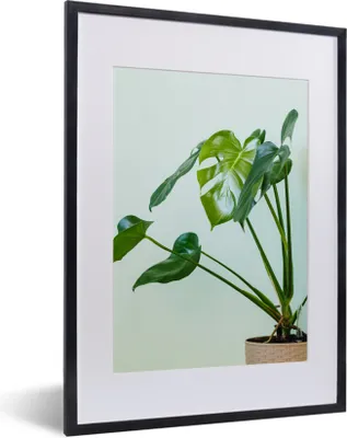 Produktbild von MuchoWow® MuchoWow® Gerahmtes Poster Monstera in einem Topf mit hellem Hintergrund 30x40 cm - Poster mit zchwarzem Bilderrahmen - Wandposter Schlafzimmer