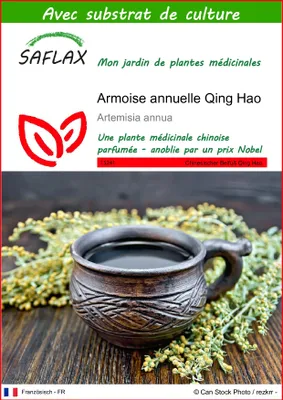 Image de SAFLAX  - Armoise annuelle Qing Hao - 250 graines - Avec substrat - Artemisia