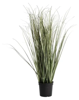 Produktbild von HOMLA Kunstpflanze VIRIDIS – Spitzblütiges Schilfgras, 11 x 63 cm