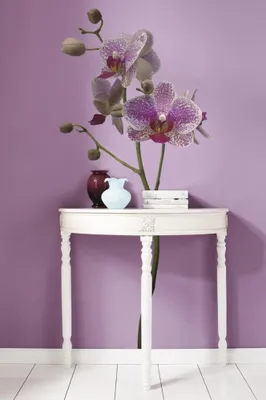 Produktbild von Orchideen, Wandaufkleber - 100x70 cm