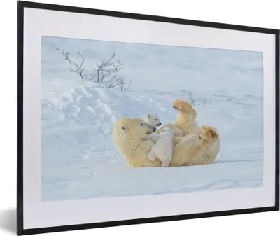 Produktbild von MuchoWow® MuchoWow® Gerahmtes Poster Eisbär - Schnee - Tiere 60x40 cm - Poster mit zchwarzem Bilderrahmen - Schlafzimmer - Plakat in Rahmen - Drucken