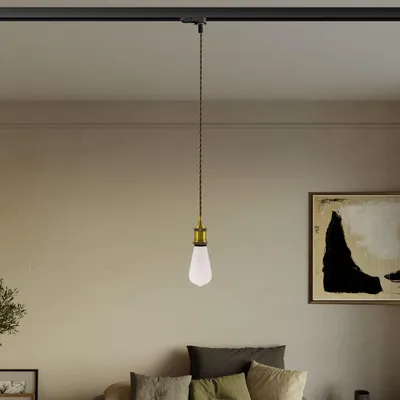 Image de Creative Cables - Suspension vintage pour rails avec câble tressé - ampoule non fournie