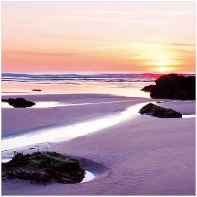 Produktbild von Wallario Memoboard Magnettafel aus Glas, Größe 50 x 50 cm, Motiv Sonnenuntergang am einsamen Strand