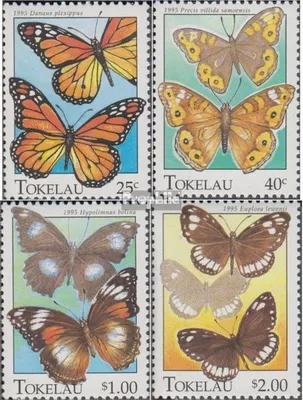 Produktbild von Briefmarken Tokelau 1995 Mi 219-222 (kompl.Ausg.) postfrisch Schmetterlinge