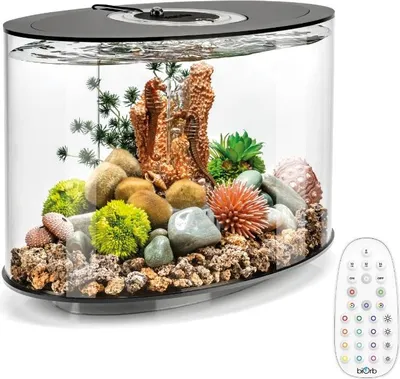 Image de Aquarium long 15l contours noir - Oase - LOOP 15 MCR BLACK - biorb loop