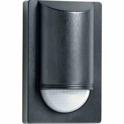 Immagine prodotto di Sensore esterno di design IS 2180-2 e IS 2180 ECO, variante: IS 2180 ECO, nero