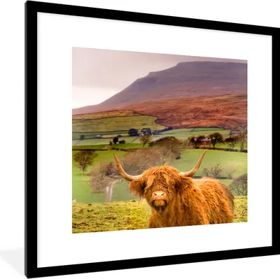 Produktbild von MuchoWow® Gerahmtes Poster Schottischer Highlander - Berg - Herbst 40x40 cm - Poster mit Schwarzem Bilderrahmen Wandposter Rahmen Foto Bilder - Poster - Plakat im Rahmen