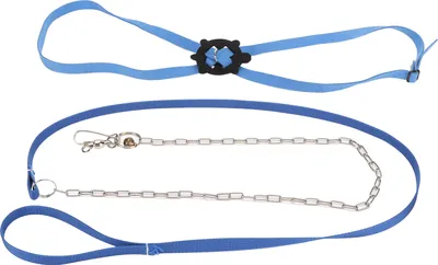 Image de Harnais pour tortues, harnais réglable pour animaux domestiques, respectueux de la peau, laisse pour reptiles d'extérieur, bleu, taille L