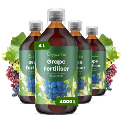 Obrázek produktu pro Hrozno Tekuté Hnojivo 4x1 L – 2-1-8 NPK – Pro Vinič – Podporuje Rovnomerný Růst & Silnú Révu – Organifer