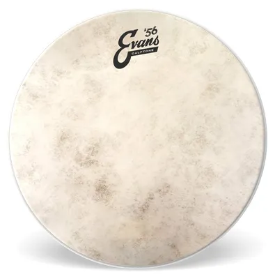 Immagine prodotto di Evans Calftone 8''