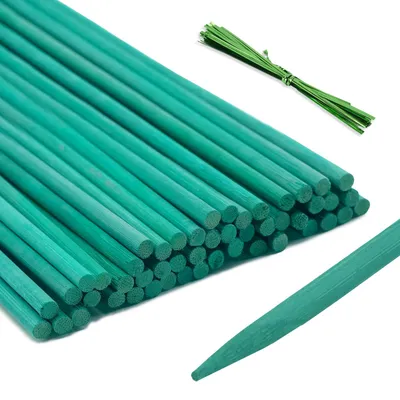 Imagen del producto de Soportes para plantas, color verde, 60 cm de longitud, diámetro 5 mm, 50 unidades, para sujetar plantas