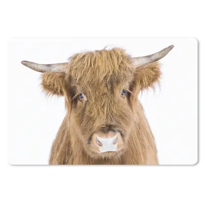 Produktbild von MuchoWow® Mauspad Mousepad Schottischer Hochländer - Tiere - Braun - Natur 27x18 cm - Mousepads - Maus Mat - Pad - Mausunterlage - Büroartikel - Desk Matten
