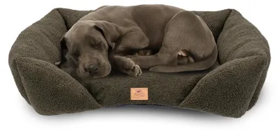 Produktbild von Ferplast Hundebettkissen für mittelgroße Hunde, Katzenbett, waschbarer synthetis