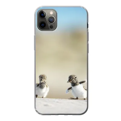Produktbild von MuchoWow® Handyhülle Schutzhülle Hülle für iPhone 12 Pro Max Junge - Sand - Vögel Silikon Softcase Handy Hülle - Hartschale