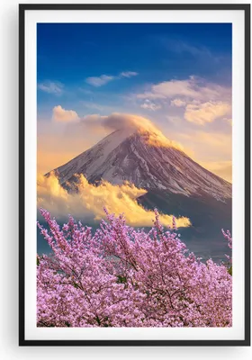 Produktbild von Gerahmtes Poster - Schwarzer Rahmen - Fuji Blume Kirsche - 61x91,5 cm - Wand Bild - Wanddeko - Wandbilder - Kunstposter - Wandposter - Bilderrahmen - Bilder - Kunstdruck - P2BPA61x91-4490