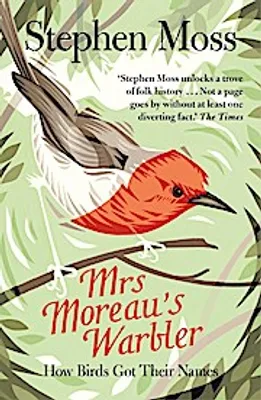 Zdjęcie produktu dla Mrs Moreau's Warbler