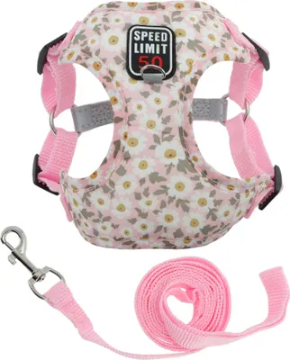 Produktbild von Hundegeschirr Und Leine Set Mit Reflektierenden Streifen Verstellbares Geschirr Für Spaziergänge Geschirr Für Kleine Und Mittelgroße Hunde Katzen L Pink