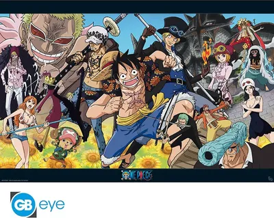Produktbild von ONE PIECE - Poster Maxi 91cmx51cm - Dressrosa