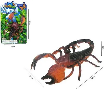 Zdjęcie produktu dla skorpion twardy 20cm | HHD10